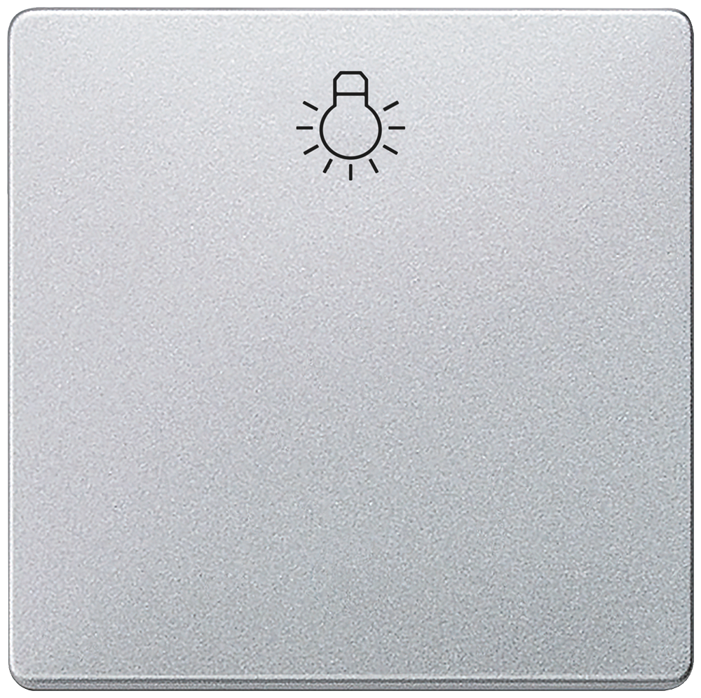 i-sys alu.met. Wippe m. Symbol Licht - 5TG6201-0AM20